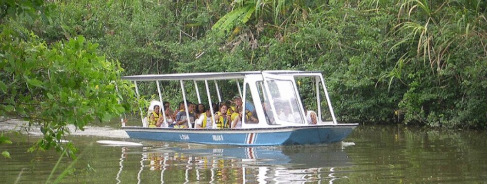 Relax Day Tours Travel Forum Reviews