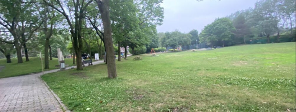 Rembrandt Park Travel Forum Reviews