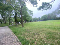 Rembrandt Park Travel Forum Reviews