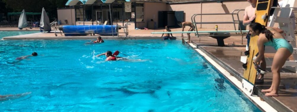Rengstorff Park Travel Forum Reviews