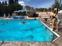 Rengstorff Park Travel Forum Reviews