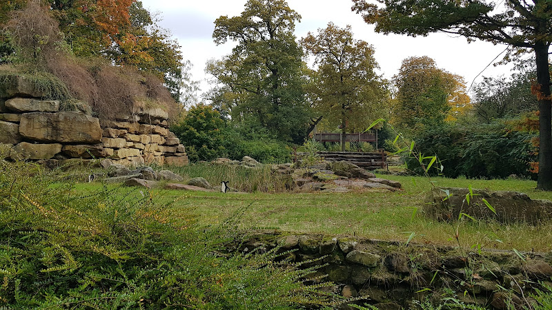 Rensenpark