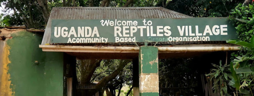 Reptile village in Entebbe Travel Forum Reviews