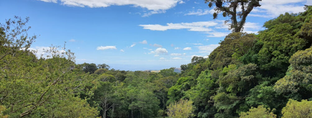 Reserva Curi Cancha Travel Forum Reviews