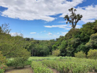 Reserva Curi Cancha Travel Forum Reviews