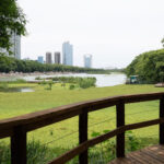 Reserva Ecológica Costanera Sur