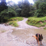 Reserva Ecológica Río Blanco
