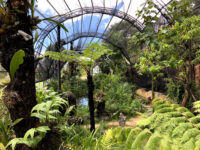 Reserva Ecológica y Jardín de Orquídeas Moxviquil Travel Forum Reviews