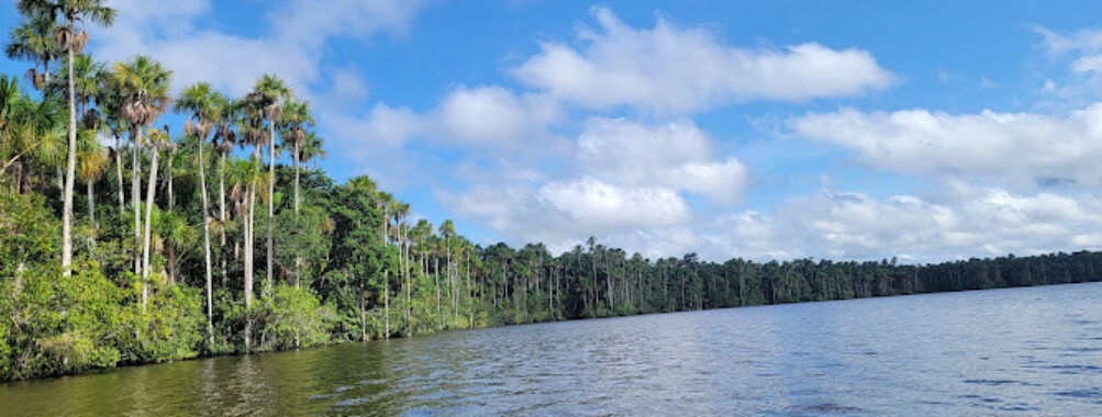 Reserva Nacional Tambopata Travel Forum Reviews
