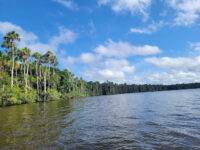 Reserva Nacional Tambopata Travel Forum Reviews