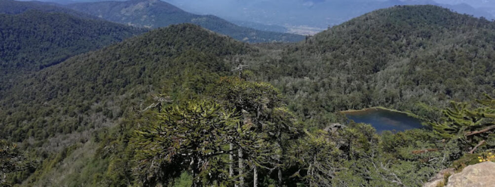 Reserva Nacional Villarrica Travel Forum Reviews