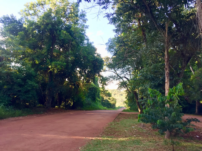 Reserva Selva Iryapú.
