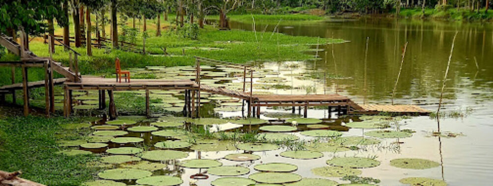 Reserva Victoria Regia Travel Forum Reviews