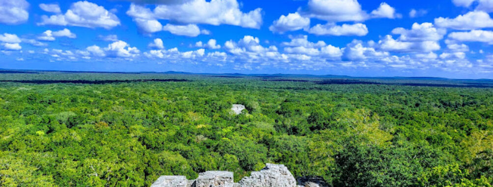 Reserva de la Biósfera Calakmul Travel Forum Reviews