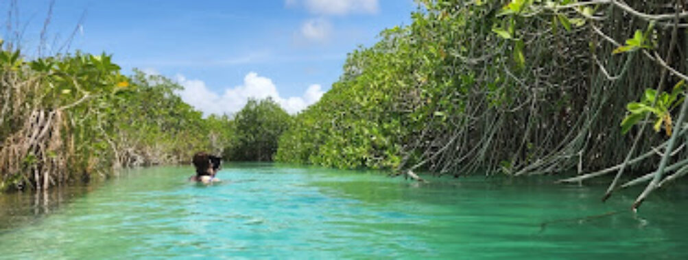 Reserva de la Biósfera Sian Ka'an Travel Forum Reviews