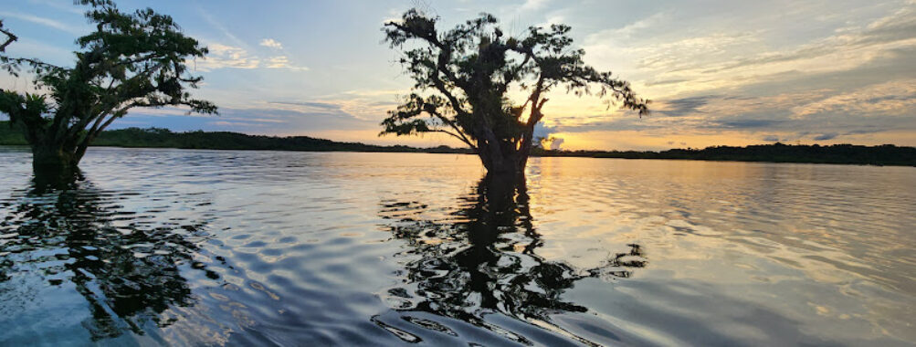Reserva de producción de Fauna Cuyabeno Travel Forum Reviews