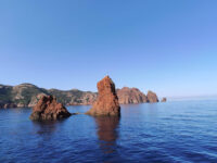 Réserve Naturelle de Scandola Travel Forum Reviews