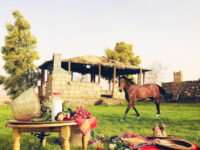 Résidence Ferme Habib مزرعة آل حبيب Habib Farm Travel Forum Reviews