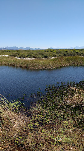 Restinga National Park Jurubatiba