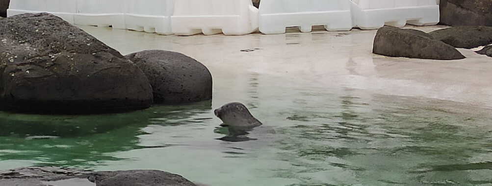 Reykjavík Park and Zoo Travel Forum Reviews