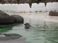 Reykjavík Park and Zoo Travel Forum Reviews