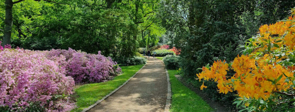 Rhododendron-Park Bremen Travel Forum Reviews