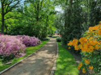 Rhododendron-Park Bremen Travel Forum Reviews
