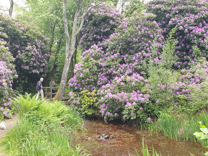 Rhododendron park