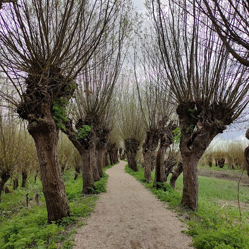 Rhoonse Grienden