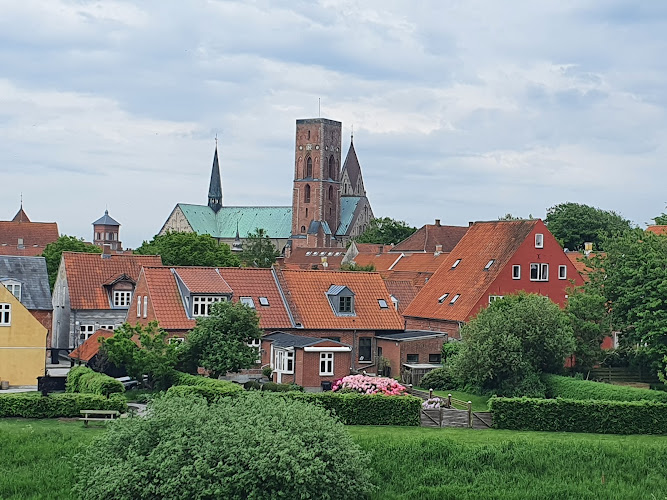 Riberhus Slotsbanke