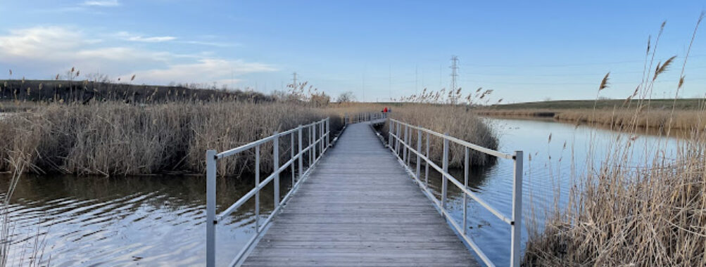 Richard W. DeKorte Park Travel Forum Reviews