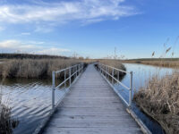 Richard W. DeKorte Park Travel Forum Reviews