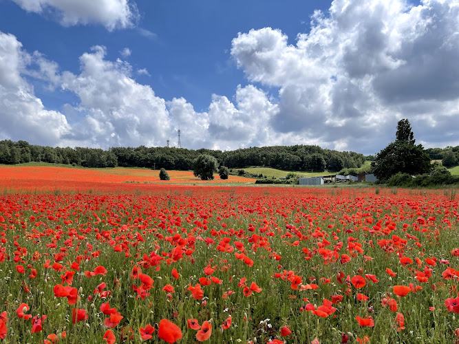 Rifle Range Nature Reserve