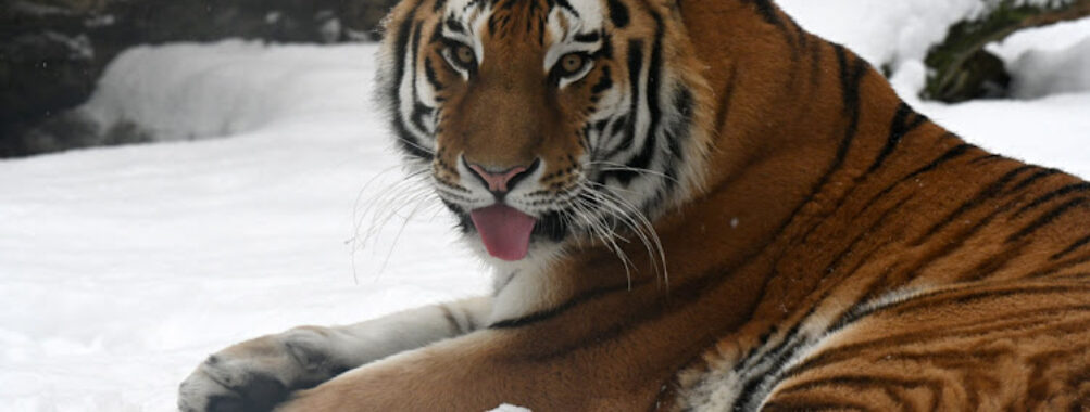 Riga National Zoological Garden Travel Forum Reviews