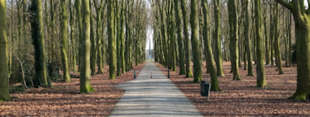Rijswijk Forest Travel Forum Reviews