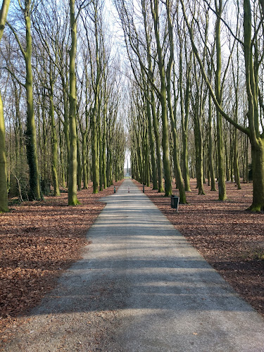 Rijswijk Forest
