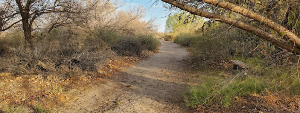 Rio Bosque Park Travel Forum Reviews