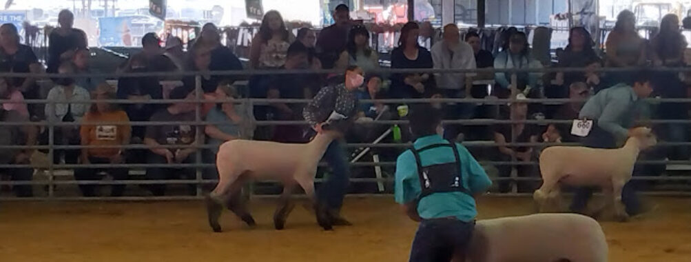 Rio Grande Valley Livestock Show Grounds Travel Forum Reviews