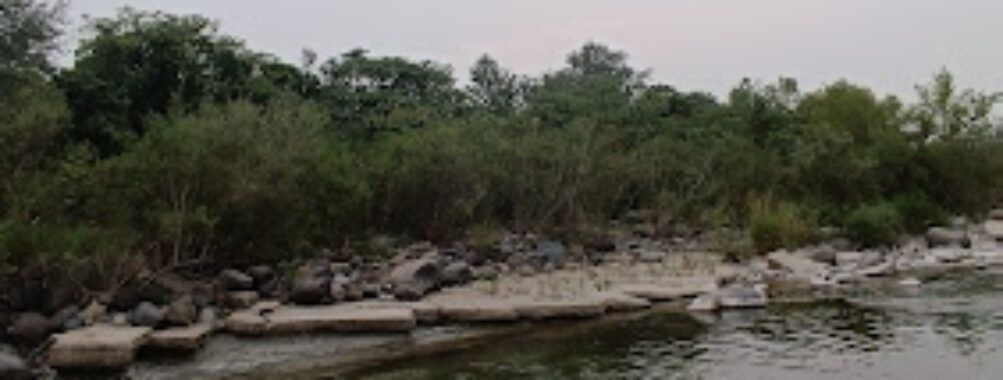 Rio Misantla Travel Forum Reviews