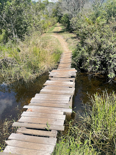 Rio Vermelho State Park
