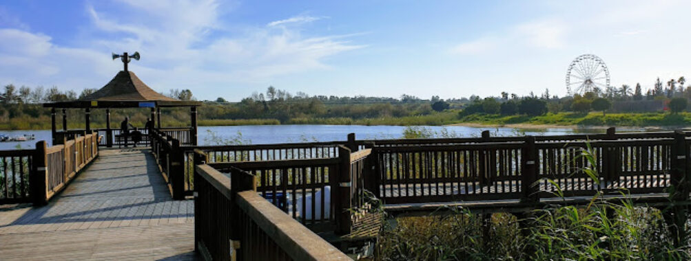 Rishon LeZion lake Travel Forum Reviews