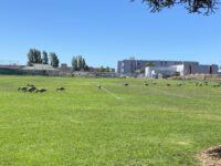 Rittler Park Travel Forum Reviews