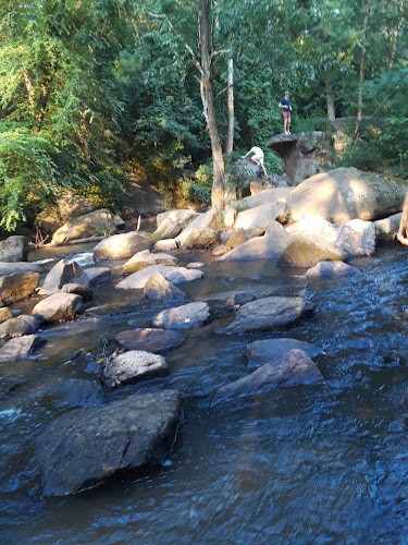 River Lodge