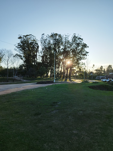 Rivera Park