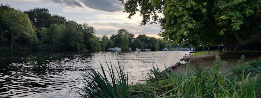 Rivermead Island Travel Forum Reviews