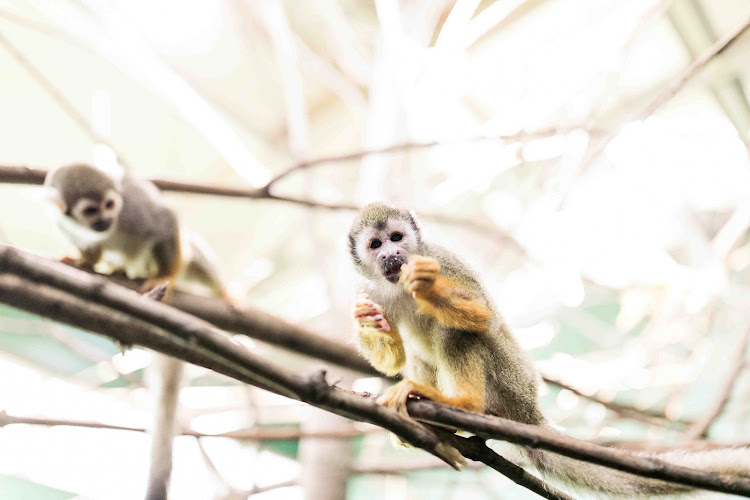 Riverview Park & Zoo