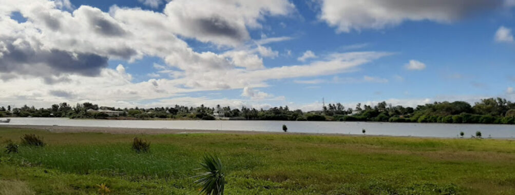 Rivulet Terre Rouge Estuary Bird Sanctuary Travel Forum Reviews