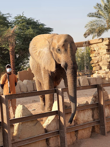 Riyadh Zoo