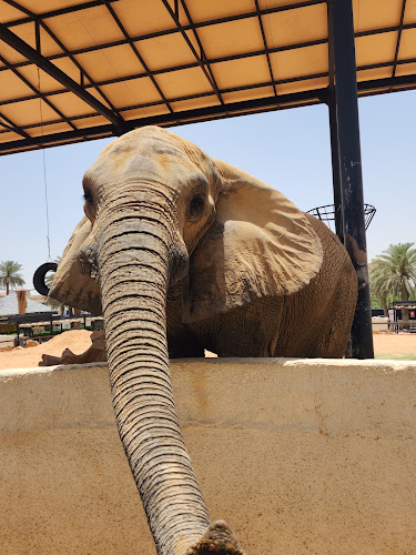 Riyadh Zoo