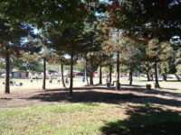 Robert E. Browne Park Travel Forum Reviews